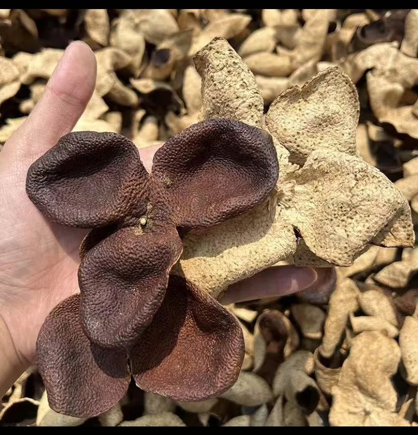 农家自卖陈皮茶花草茶陈皮干橘皮泡水泡茶    tt