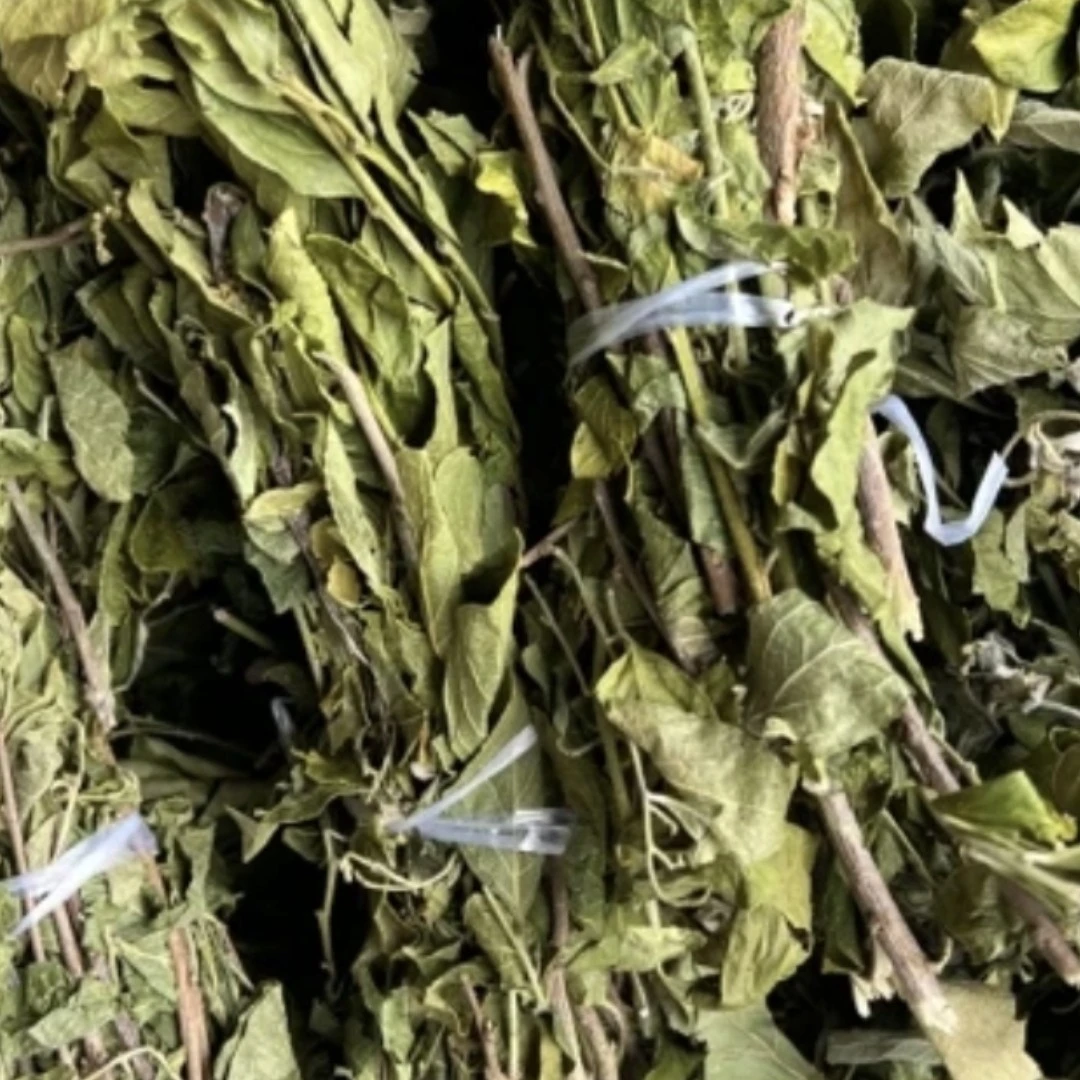 阿萍甄选蛋草2捆售卖