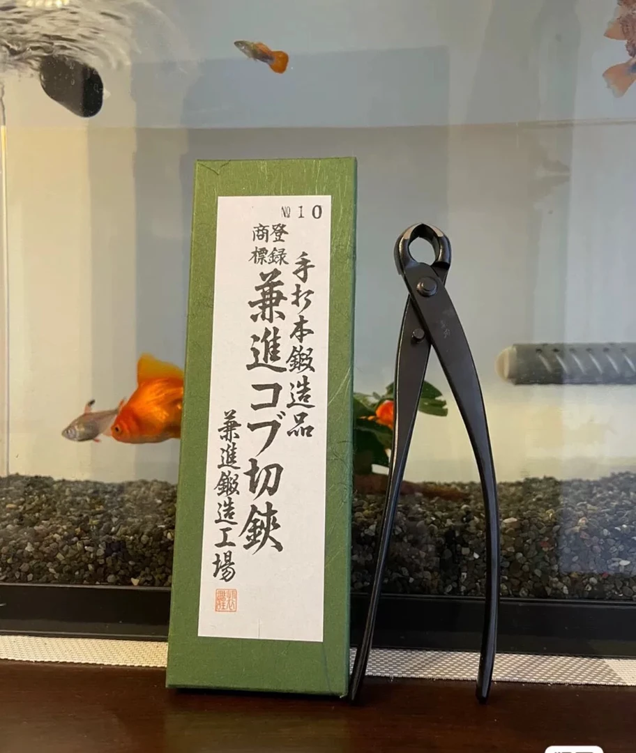 日本进口兼进10号球结剪刀