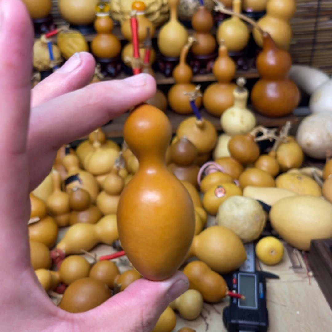 老皮鸡腿瓶子厚皮响籽
