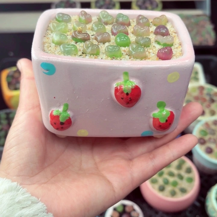 521零下地区记得拍保温箱满18包邮