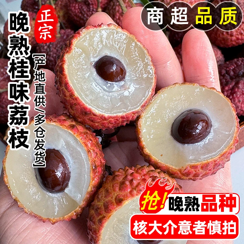 【冷链速运】正宗桂味荔枝新鲜现摘老树水果鲜甜多汁