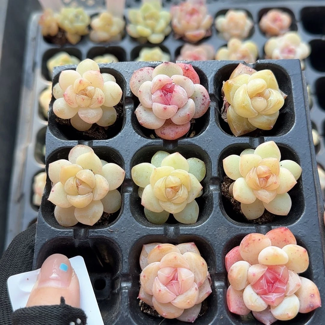 哈哈哈哈哈哈哈哈哈哈哈