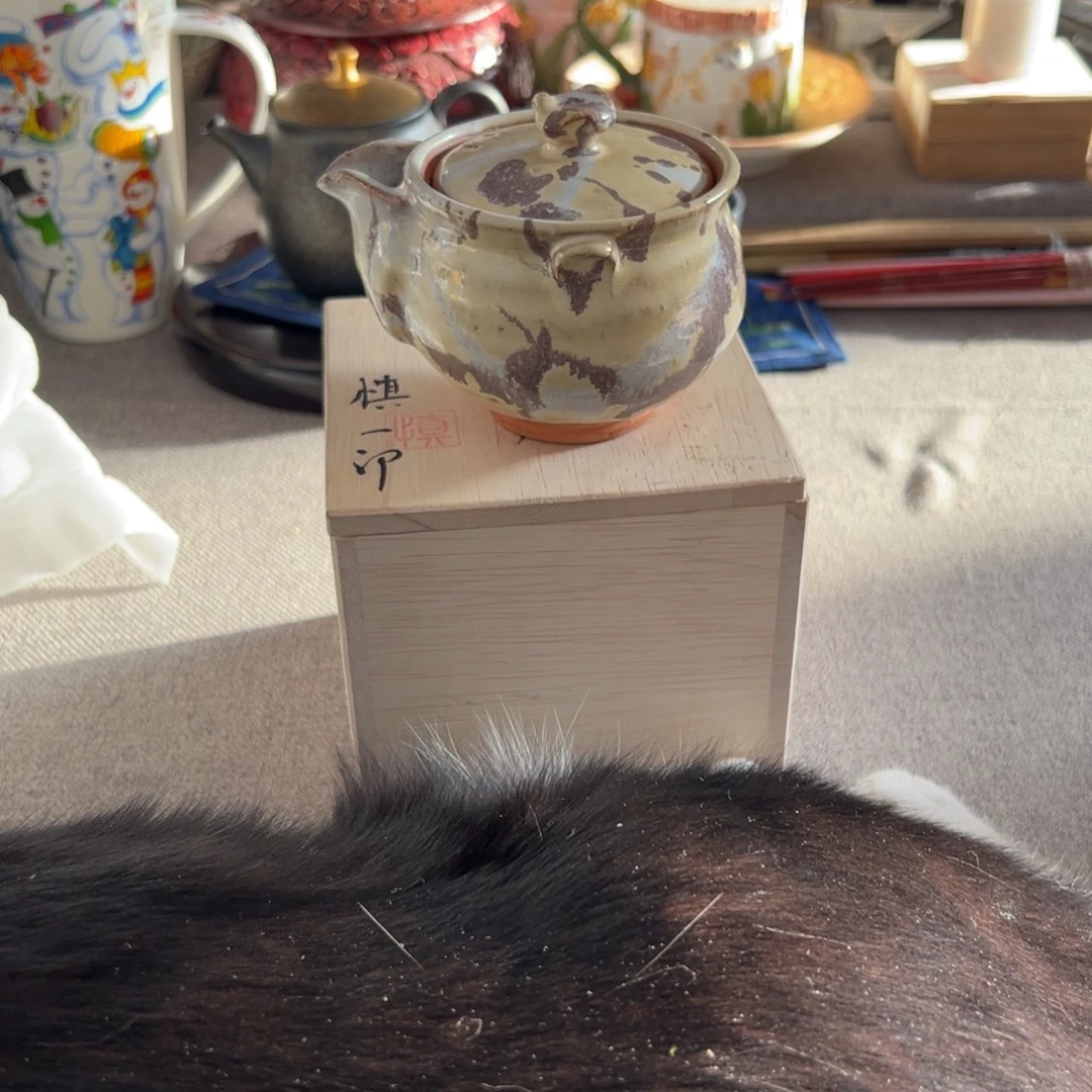 陶瓷艺术的艺术价