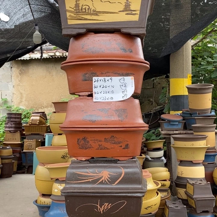 花盆紫砂没有什么不可以改变的东西都