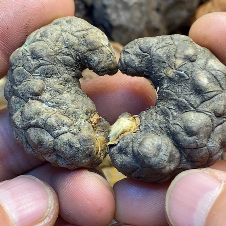 吊坠文玩核桃娜姐107