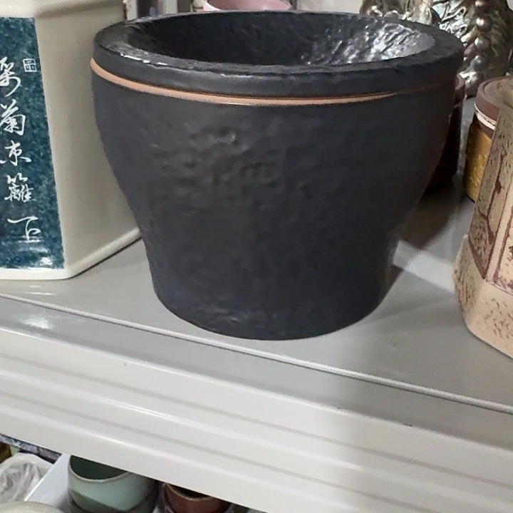 主人杯一个，瓷。。主人