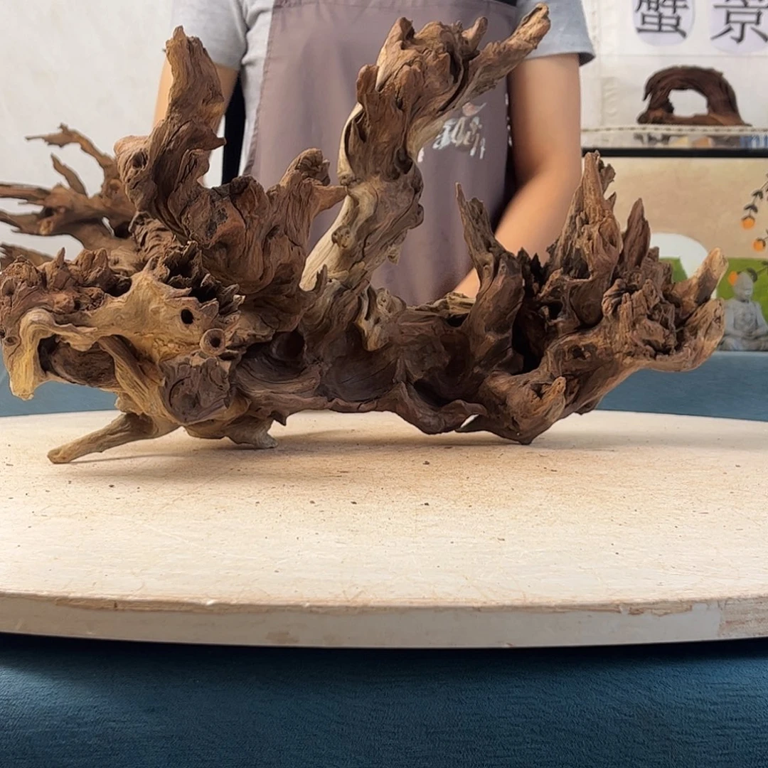 沉木造景寄居蟹景