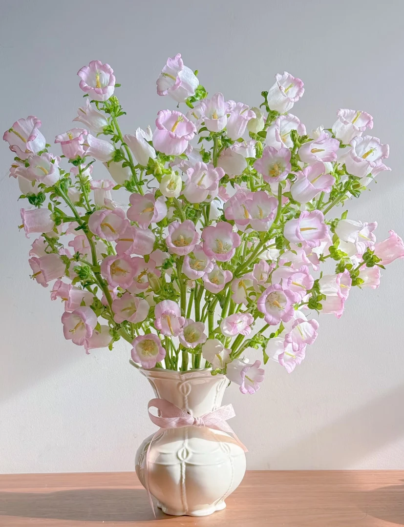【粉色风铃花】爆花机器 家庭插花 云南基地直发 应季花材