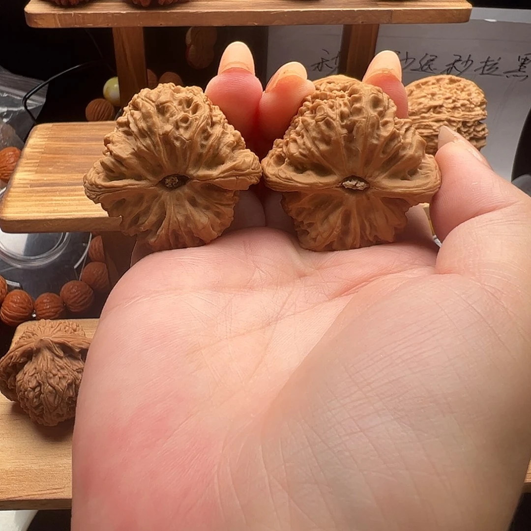 5***人物美价廉物美价廉