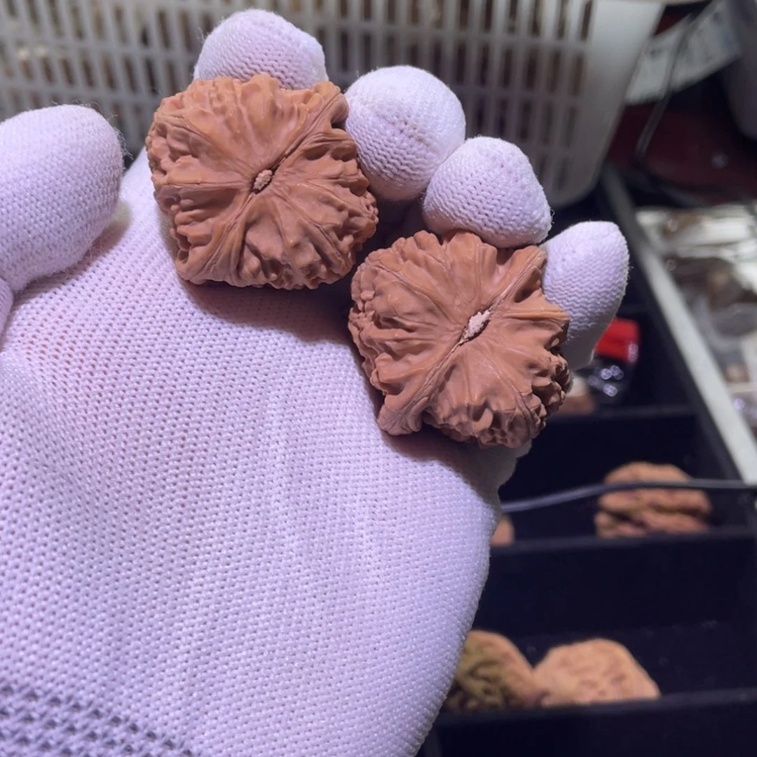 文玩核桃把件561 三角白