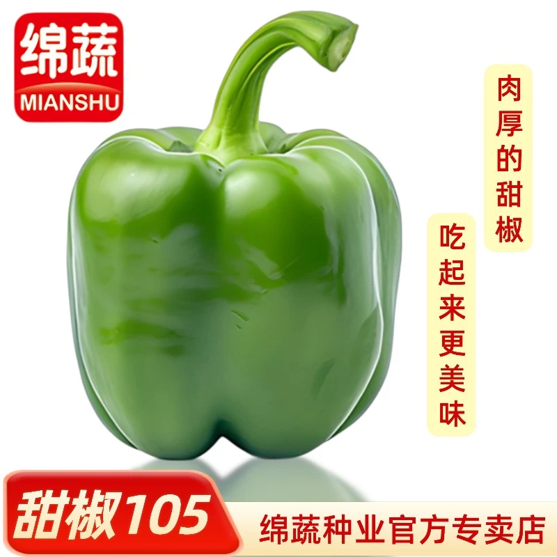 【绵蔬105】甜椒种子中早熟灯笼椒皮薄肉厚口感不辣