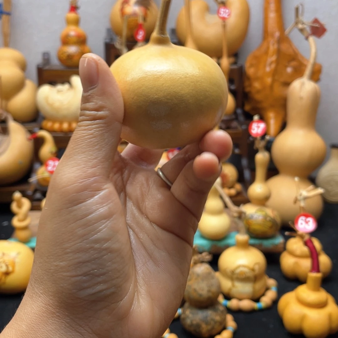 小*阳大自然的秘密是什么呢这是