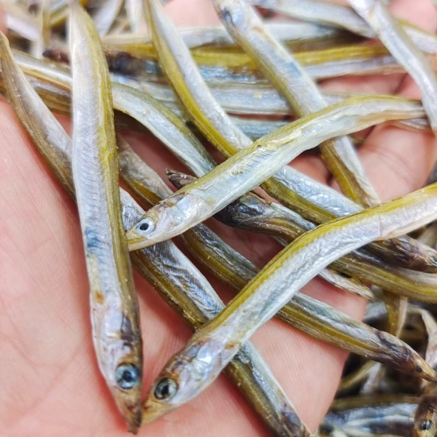 【马鲛仔海产龙哥】新晒银针鱼干海鲜小鱼干淡干淡晒1斤装顺丰包邮博贺港