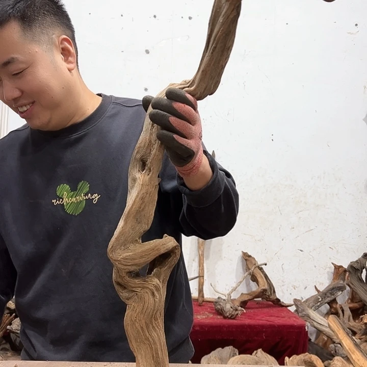 柏木遇*缘我们的生活是以自己