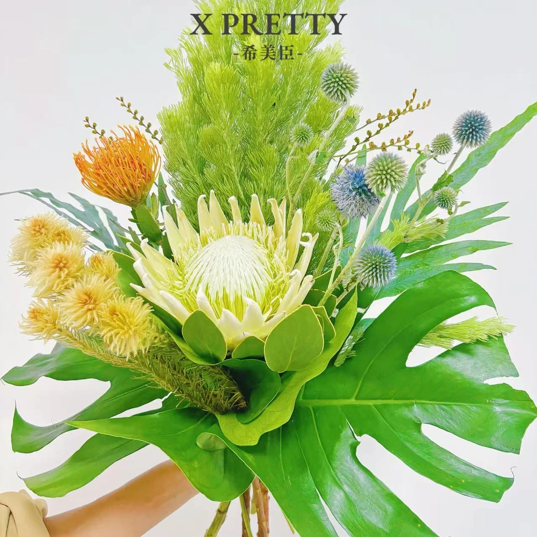 【伊丽莎白】南非进口帝王花高档手捧花干花花园庭院耐热懒人室外