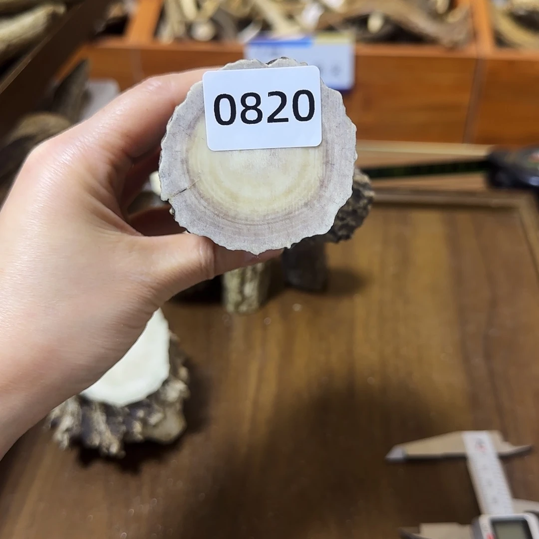 手串/手链鹿骨0820根段