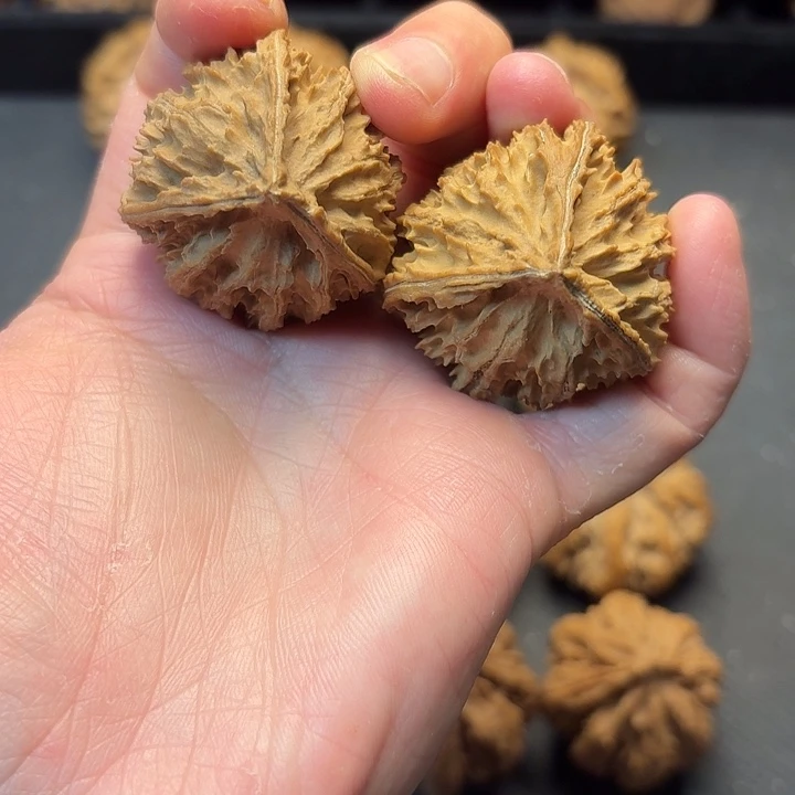 我也不知道我为什么