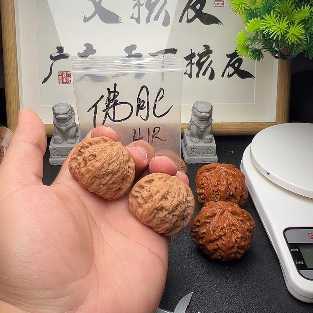 佛肚41尺全品头茶