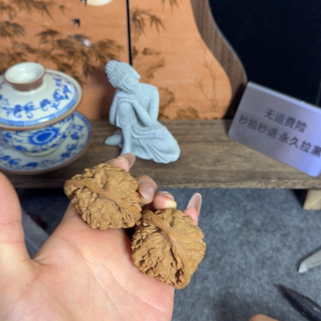 官帽蛇头白茬45全品