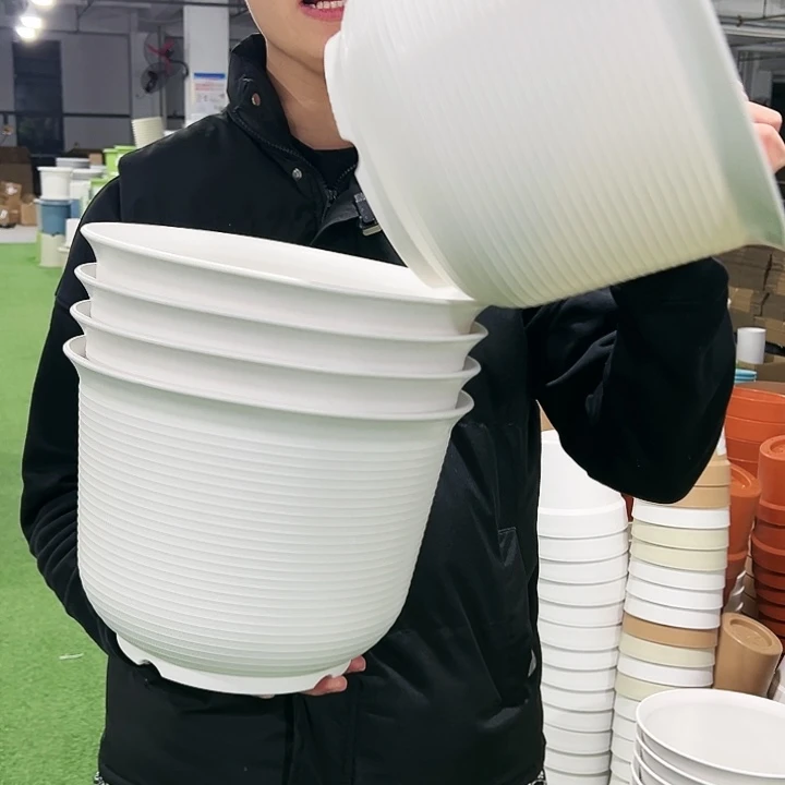 正品矮陶口30高22白色5只无托