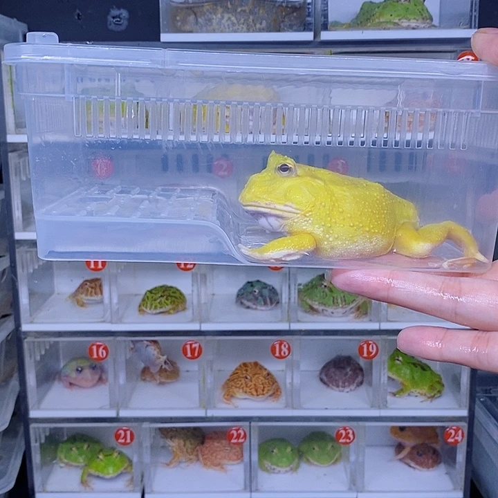 特价秒杀现货特价