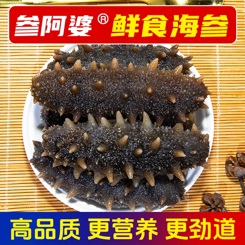 【参阿婆】鲜蒸海参即食独立包装新鲜海参冷冻海鲜批发非海参干货