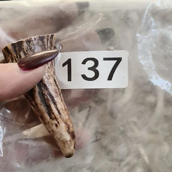 张***六鹿角鹿角鹿角鹿角鹿角鹿角鹿角鹿角鹿角