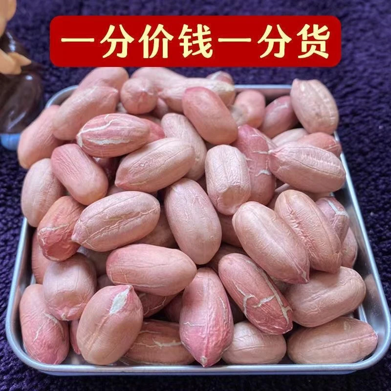 2025河南黄河故道延津白沙大花生甘甜可口自产自销粒饱满生花生米