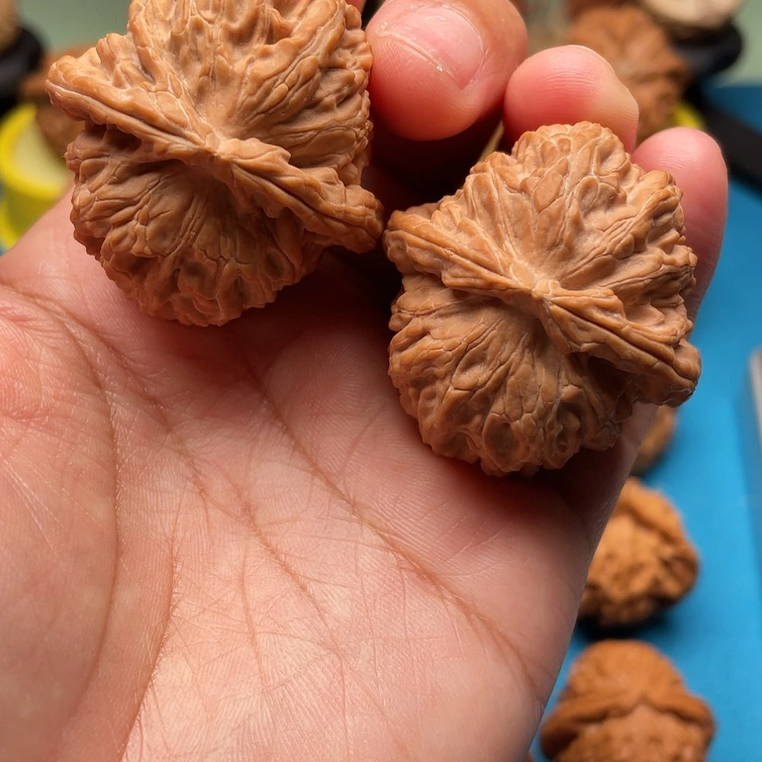 文玩核桃把件白狮子39
