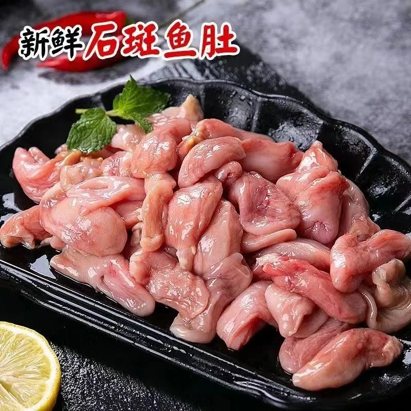 石斑鱼鱼肚  以直播间为准 顺丰包鲜到家