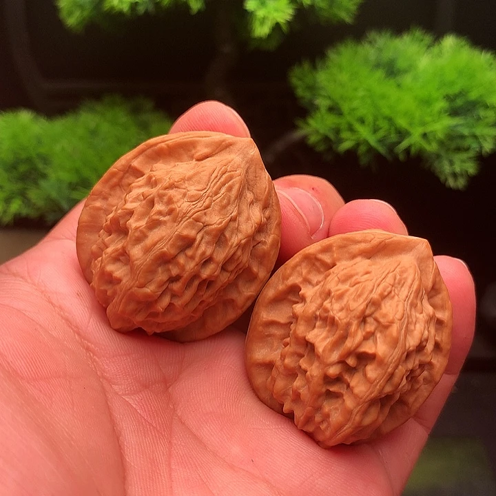 吊坠文玩核桃大***儿37.5尺大红袍