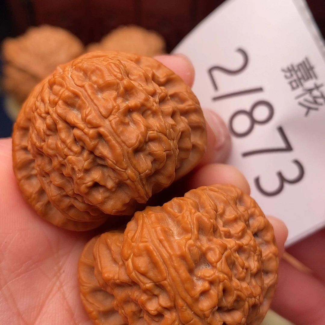 把件文玩核桃38白狮子