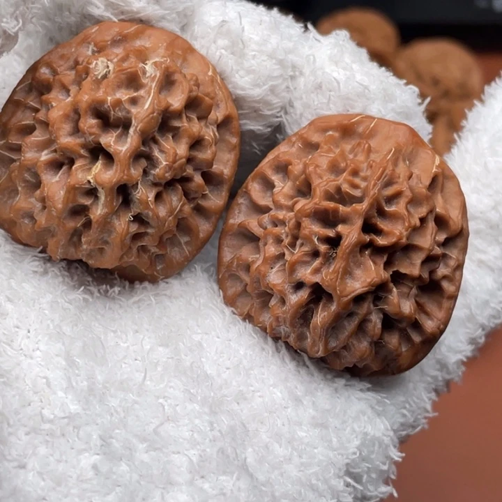 瘦***儿秦核等人的故事也在