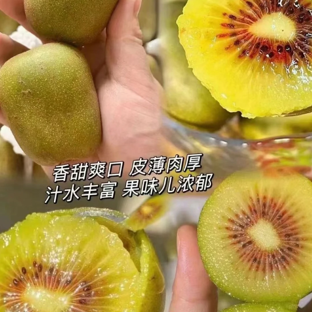 【喆田专属顺丰次日达】红心猕猴桃一盒15枚（小果）包邮到家四川省