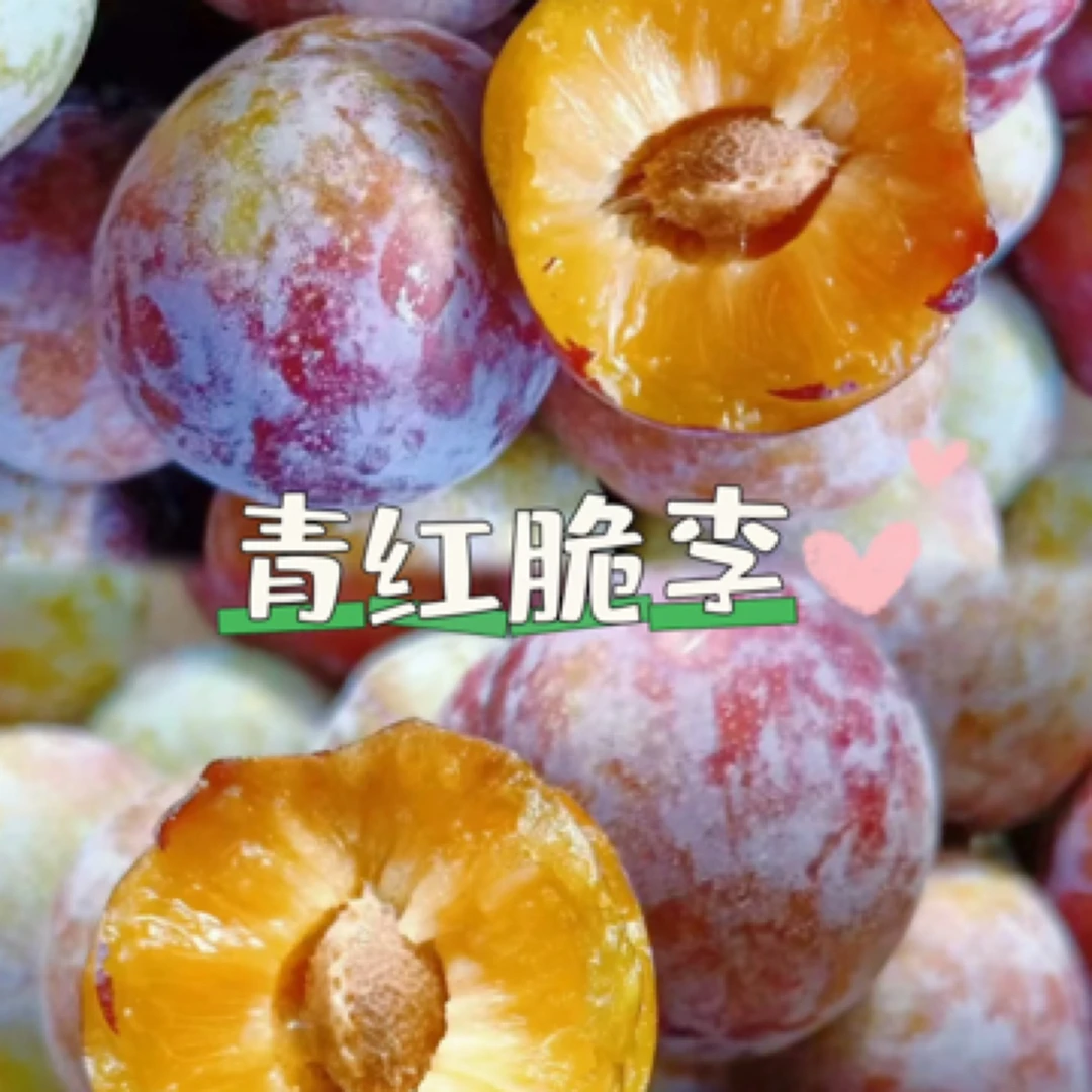 果切青红翠李2枚（洗净）1g