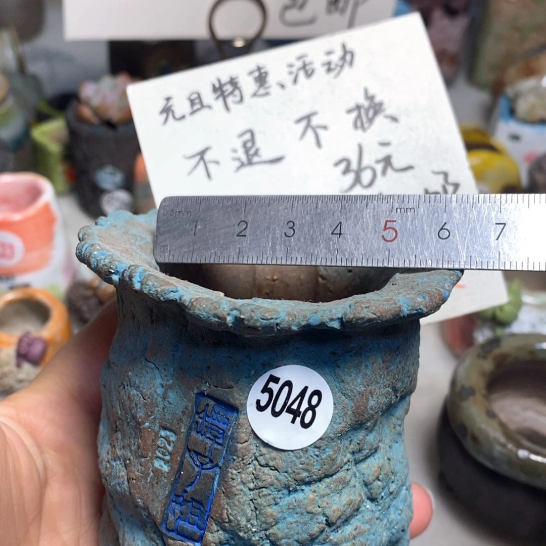 花盆处理的，不退不换的原价32