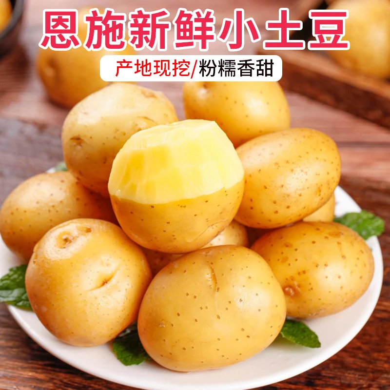 恩施小土豆高山小土豆黄心洋芋农家自种多规格马铃薯包邮蔬菜