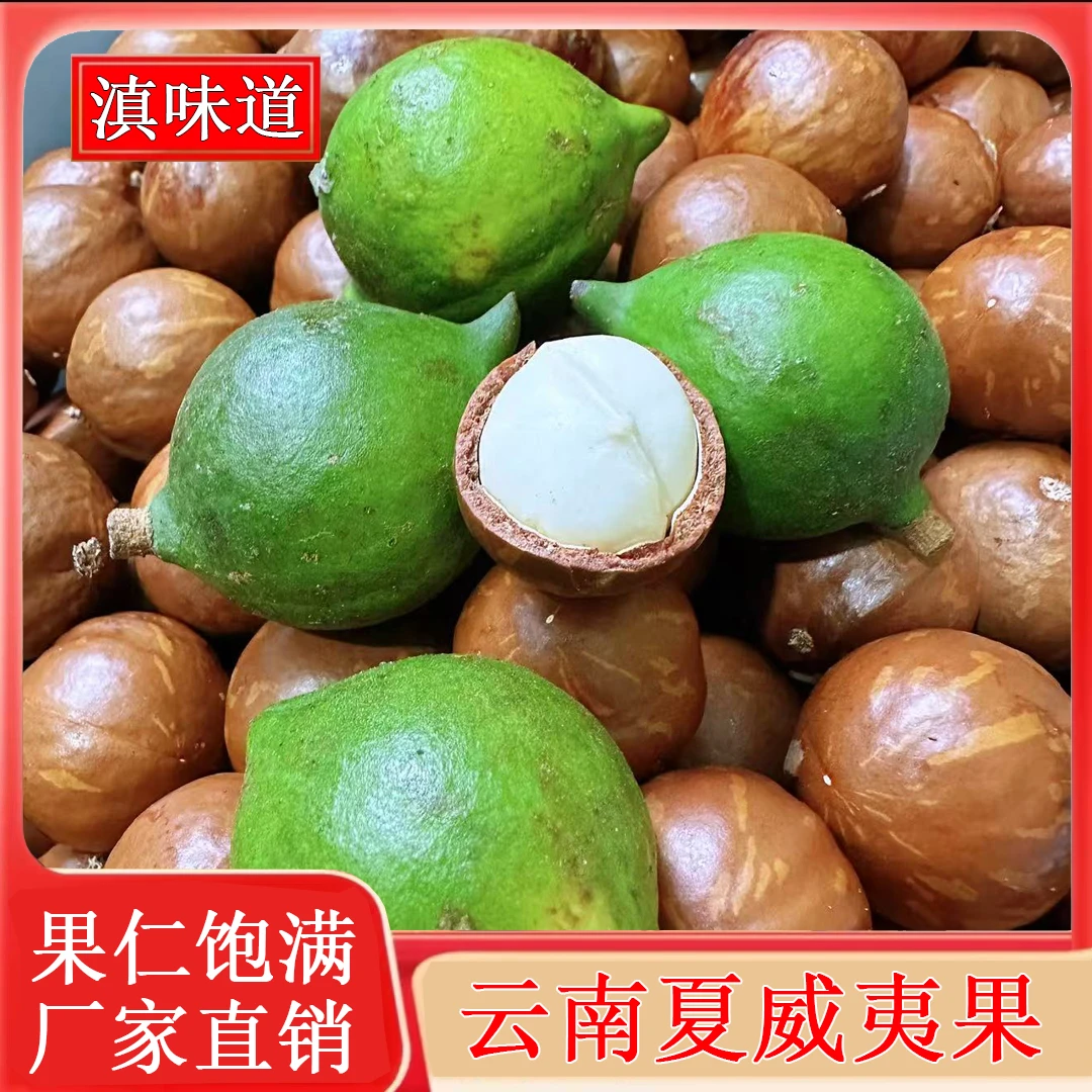 云南新鲜夏威夷果新货原味奶油香味散袋装干坚果炒货零食