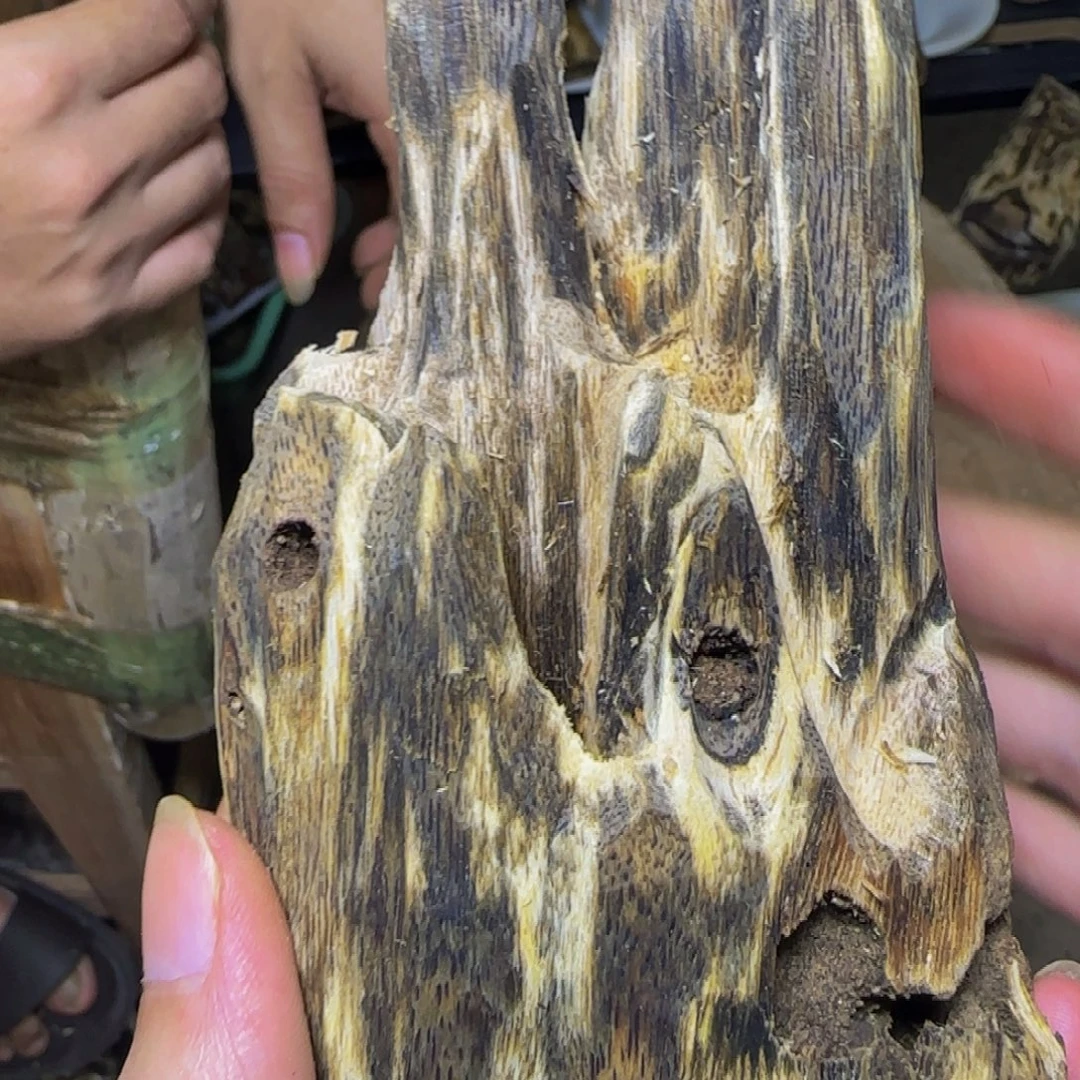 沉香蓝宝石虫漏发一份