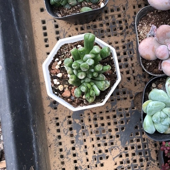 噢***耶可爱到现在也都没见