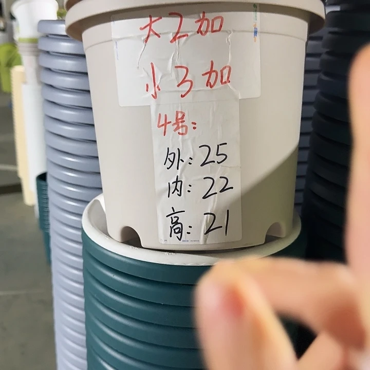 四季4号灰白无托10个口25