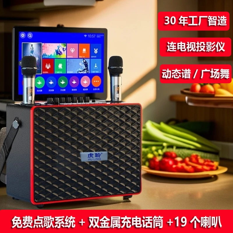 虎聆KTV点歌家用K歌唱歌直播网红卡拉ok音响一体机户外广场舞音箱