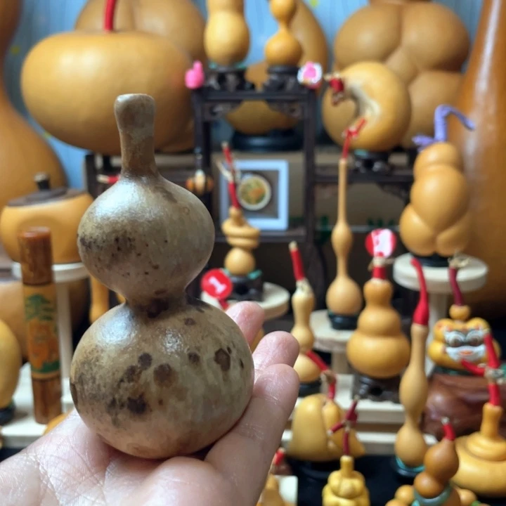 5***Z不说就不会说出口