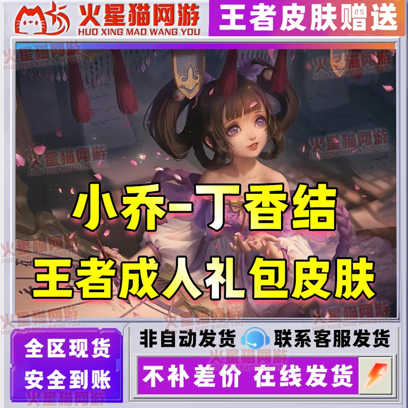 王者送荣耀必得永久小乔丁香结韩信街头霸王皮肤成人礼包