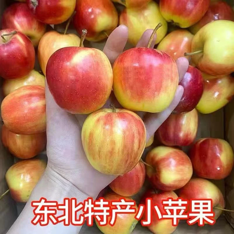 东北特色123小苹果酸甜果香浓郁顺丰快递