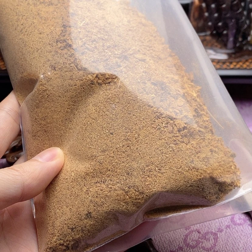 【闪购商品】贡木其他D***貓巴布亚贡木