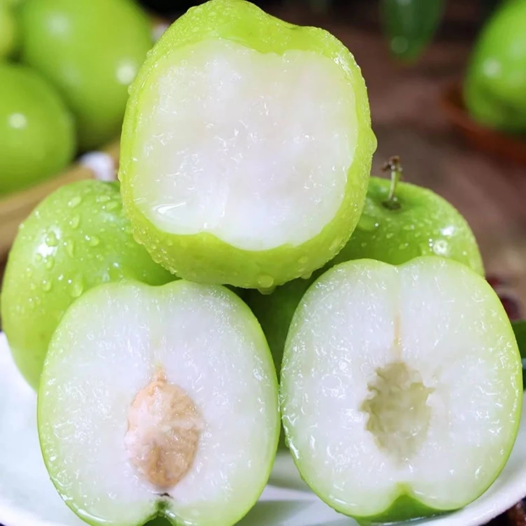 广西蜜丝枣牛奶枣大青枣果农新鲜采摘产地直发脆甜多汁清甜爽口