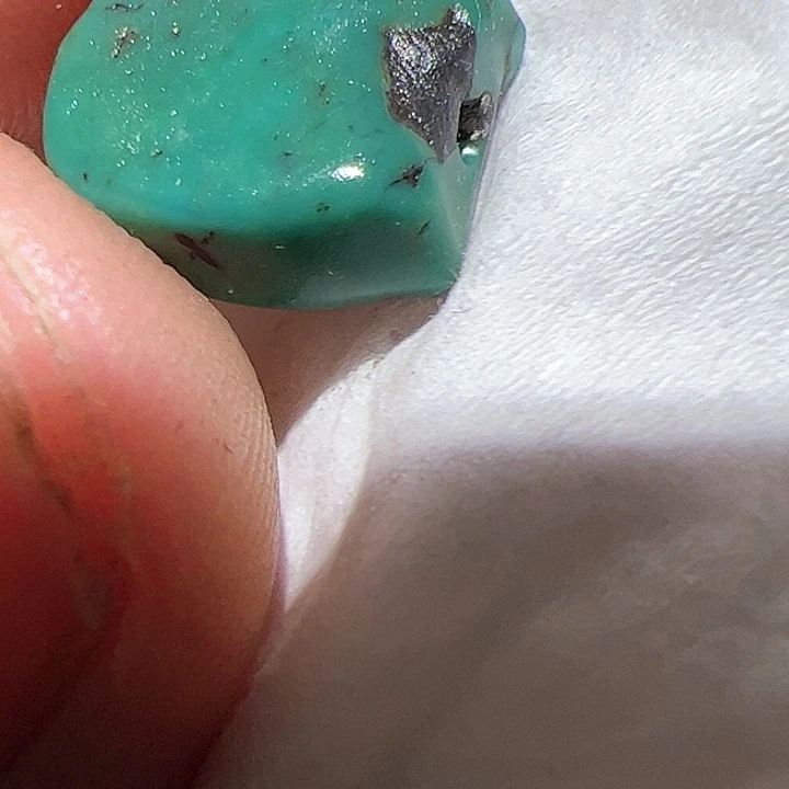 香榧木在这里的时候