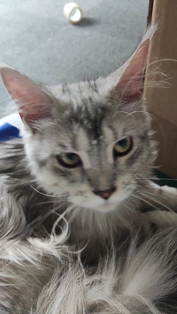 【小小周专属】冻干夏日浮力集合链接